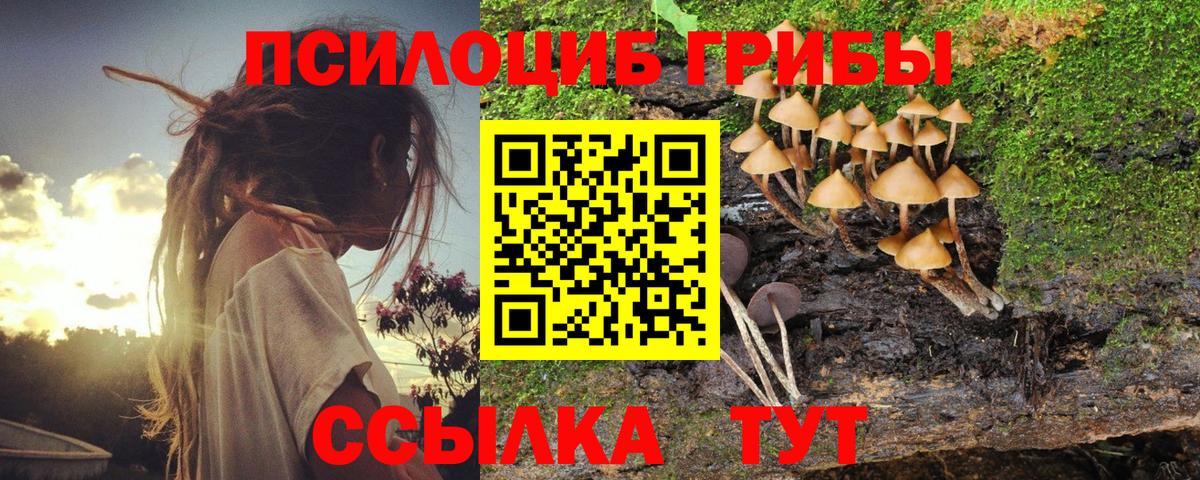 Псилоцибиновые грибы MAGIC MUSHROOMS Лянтор
